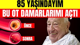 ✅ Bu kan damarlarını temizlemek için EN İYİ BİTKİ 🩸 [upl. by Nilknarf]