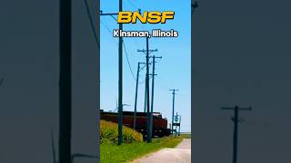 BNSF Intermodal Blasting Through Kinsman [upl. by Emmi]