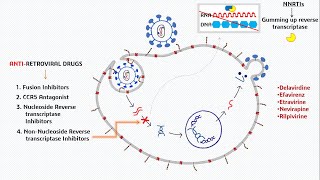 AIDS  Antiretroviral Drugs Treatment [upl. by Nirb]