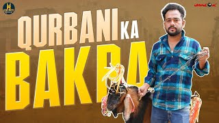 Qurbani Ka Bakra  Bakrid Special Video  Golden Hyderabadiz  Abdul Razzak  Social Message [upl. by Sudnac]