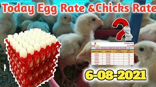 Today egg rate amp Rate chicks  Tamilnadu egg rate  chicks rate tamilnadu polutry chicks amp egg rate [upl. by Ettenrahs148]