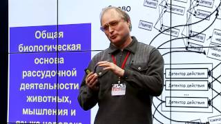 Brain coding types and feedback levels Alexander Vartanov at TEDxParkKultury [upl. by Reprah732]