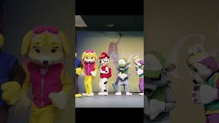 Patrulha Canina  PAW Patrol  Mighty Pups  Show de Dança 33 [upl. by Gayl496]