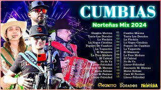 💥Norteñas para bailar 2024 💃🏽 Norteñas Mix 💃🏽 Cumbias Norteñas 💃🏽 Cumbias Mix 2024💥 [upl. by Eirolam]