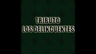 TRIBUTO A LOS DELINCUENTES [upl. by Namsu883]