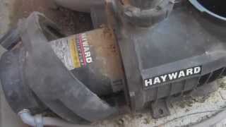 Hayward Northstar Pool Pump Motor Removal and Impeller Inspection [upl. by Gnof]