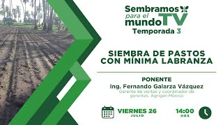 Siembra de pasts con labranza minima [upl. by Leugim]