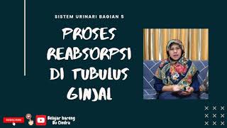 Sistem Urinari bagian 6 Proses Reabsorpsi di Tubulus Distal [upl. by Chessa180]