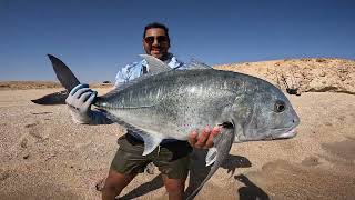 Monster GT 20 KG shore jigging in the Red Sea Marsa Alam Egypt جرم بياض شور جيجينج من عالكسارة [upl. by Even]