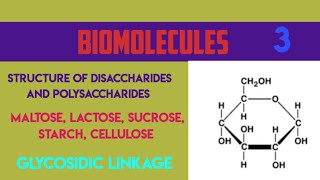 STRUCTURE OF DISACCHARIDES AND POLYSACCHARIDES MALTOSE LACTOSE SUCROSESTARCH CELLULOSE [upl. by Becky539]