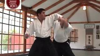 Aikido Sensei Jorge Rojo 6° Dan Aikikai Chile [upl. by Cacilia]