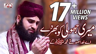 Hafiz Ahmed Raza Qadri  Meri Jholi ko Bhar Day  New Naat 2018 [upl. by Malvia]