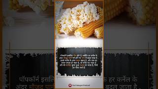 quotPopcorn also called quotZea Mays evertaquot randomfacts factshorts amazingfacts trending [upl. by Ailee]