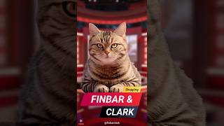 Start the week with Finbar and Clark [upl. by Neveda]