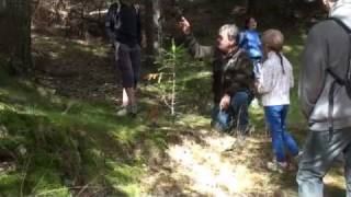 A la découverte de la forêt dAire de Côte dans lAigoual [upl. by Koffman]