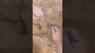 From HD7 in Oman Anthropologists excavating one of the Tombs [upl. by Lenneuq]