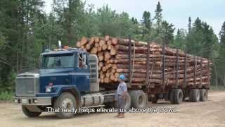 The Forestry Industry in Atlantic Canada [upl. by Haymo]