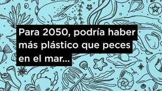 ¿Más plástico que peces en el mar Reciclaje y gestión de residuos sólidos para océanos más limpios [upl. by Fidellas]