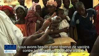 OMS  Stock mondial de vaccins contre la fièvre jaune  Questions et réponses [upl. by Adnohsad]