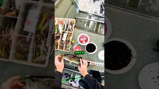 BASS Swallows Hook 🪝largemouthbass fishing bassfishing senko [upl. by Eseryt]