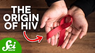 How HIV First Started in Humans [upl. by Ham]