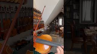 Fine Violin CR7011 violin violinmaker violinplayer violinist fiddlover [upl. by Ylliw]