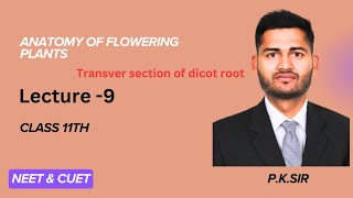 Transver section of dicot root  Class 11th  Prem Sir Biology [upl. by Lorenzana]