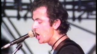 The Stranglers  Peaches Live at Battersea Park 16091978 [upl. by Ku]