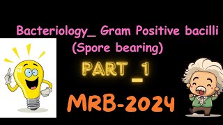 Bacteriology🎁  Gram positive bacilli💜Part 1fmge mrb mrb2024 tnmrbassistantsurgeon [upl. by Tocs744]