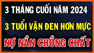 Cảnh báo 3 tuổi cuối năm 2024 vận đen rơi trúng đầu gia đạo lục đục tiền bạc đội nón ra đi  SDHP [upl. by Trent]