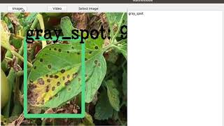 Plant diseases detection based on CNN [upl. by Larina]