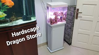 Boyu Aquarium Ms420  Birthday Gift [upl. by Darreg]