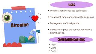 AntiCholinergic Drugs Parasympatholytic Drugsparasympathetic AntiCholinergic atropine [upl. by Anifad]