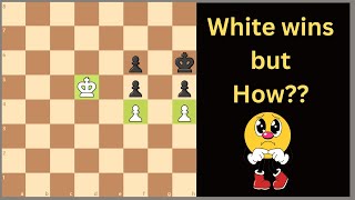 CRITICAL Chess Endgame Lesson For beginners and intermediate [upl. by Suki361]