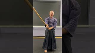 Aikido Jo strike tutorial SHOMEN [upl. by Ahsyas]