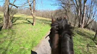 Fox chasing with Radnor Hunt Club [upl. by Nawek433]