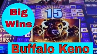 🌟Buffalo Keno in Vegas How to play and WIN 💥 Stampeding Buffalos [upl. by Ahsemrak]