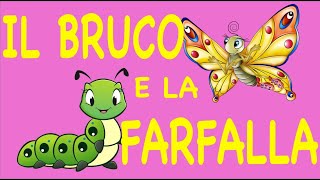 LA STORIA DEL BRUCO E DELLA FARFALLA  versione lettura [upl. by Hugo]