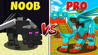 Minecraft NOOB vs PRO DRAGONS in MINECRAFT [upl. by Teage]