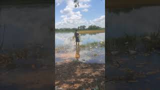 បបក់ត្រី ម្ដងទៀតមើល👍 Fishing day [upl. by Hourigan]