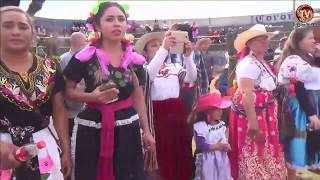 JARIPEO EN LA TENENCIA LAZARO CARDENAS MICHOACAN 2017 RANCHO LAS CUBATAS [upl. by Analaj]