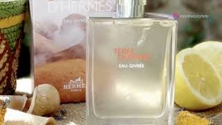 Top Fragrance Expert Reveals Truth About Hermes Terre dHermes Eau Givree [upl. by Margarete]