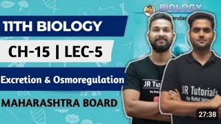 11th Biology  Chapter 15  Excretion amp Osmoregulation  Lecture 5  Maharashtra Board [upl. by Noirb610]