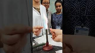 Mixed Flame Test Experiment  Chemistry Minor  Maulana Azad College  Calcutta University shorts [upl. by Severson862]