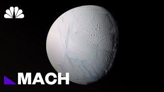 Basics Of Life Discovered On Saturn’s Moon Enceladus  Mach  NBC News [upl. by Launce950]