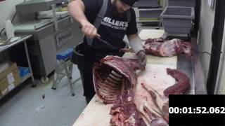 Butchering A Whitetail Deer Made Simple [upl. by Marti886]