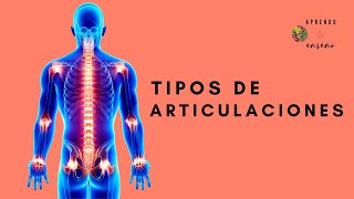 Tipos de articulaciones [upl. by Ahsille]