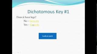 How to use a dichotomous key [upl. by Deach]