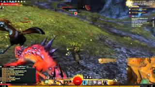 Guild Wars 2  Help Paenula train troops Heart Quest Plains of Ashford [upl. by Anauqed]