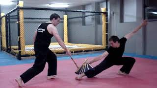 Mixed Martial Arts Training for Beginners amp Advanced MOTIVATIONAL VIDEO [upl. by Nauaj660]